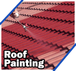 Roof painting / spraying
